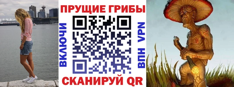 mega ССЫЛКА  Щигры  Галлюциногенные грибы прущие грибы 